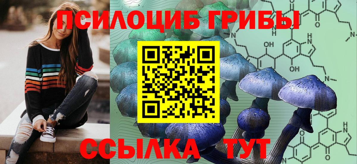 Псилоцибиновые грибы Psilocybine cubensis  Вход с VPN  Вязьма 